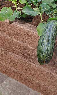 Hohes Beet Bausatz